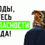 Открыть оригинальное изображение - Тогучинский район