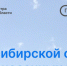 В Новосибирской области доля внесенных в ЕГРН населенных пунктов достигла 76% - Тогучинский район