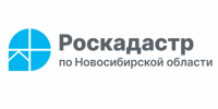 За полгода жители Новосибирской области получили более 60 тысяч выписок о кадастровой стоимости - Тогучинский район
