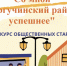 Конкурс общественных стартапов  «Со мной Тогучинский район успешнее» - Тогучинский район
